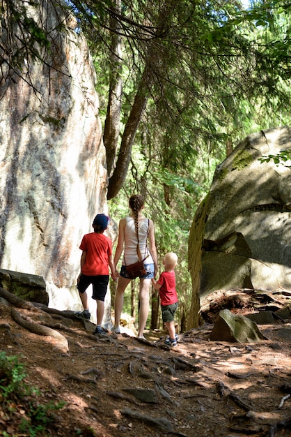 A family hiking on a well-maintained trail in a national park, surrounded by lush greenery and towering trees.