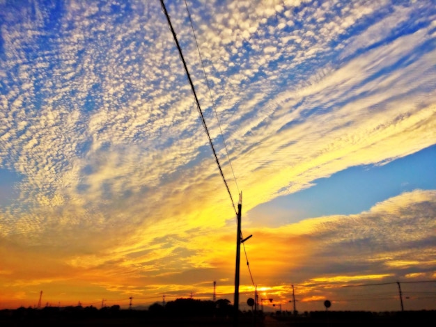 Solar Stocks: Are Renewable Energy Investments Worth the Risk?