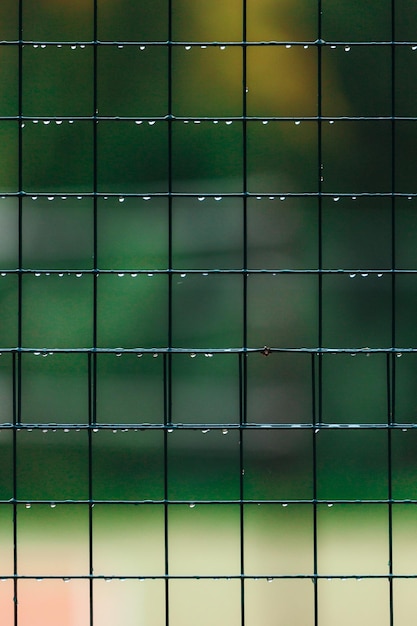 Close-up on solar panels with a financial graph overlay, representing the intersection of renewable energy and investment growth.
