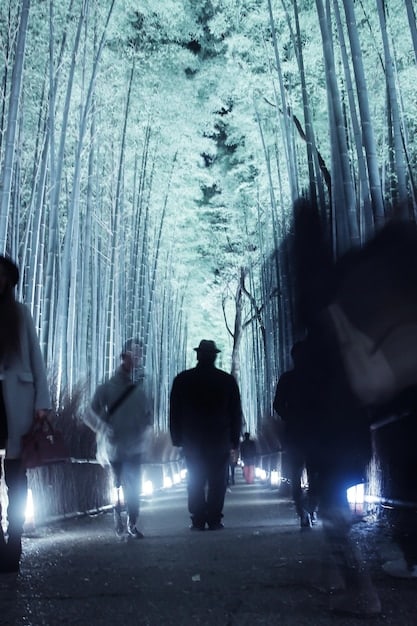 A dark and atmospheric scene from a Korean drama, showing a detective with supernatural abilities standing in front of a glowing portal to another dimension. The scene is filled with fog and eerie lighting, and there are shadowy figures lurking in the background.