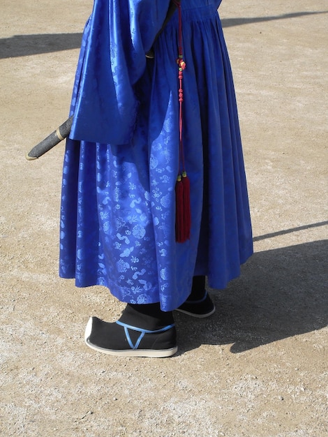 A detailed close-up shot of a Korean hanbok (traditional dress) from a historical drama. Focus on the intricate embroidery and vibrant colors of the fabric. The shot should emphasize the artistry and craftsmanship involved in creating these costumes, highlighting the cultural significance and elegance of Korean fashion.