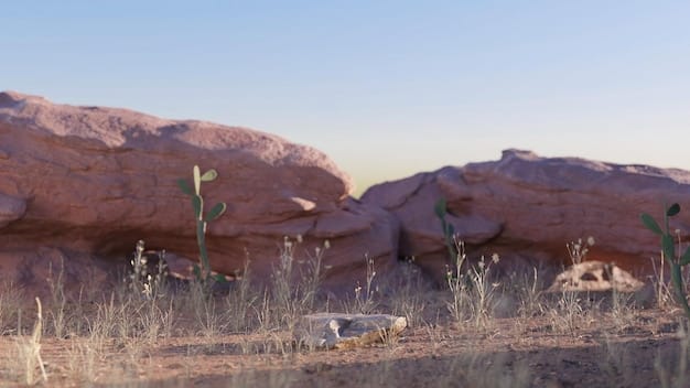 A panoramic shot of a remote, rugged desert landscape in northern Mexico, with a single dirt road stretching into the horizon. The sky is vast and clear, with a few scattered clouds. The scene conveys a sense of isolation and natural beauty.