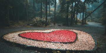 Corazón de Fuego: Análisis Profundo de la Representación Indígena en el Drama - Cover Image