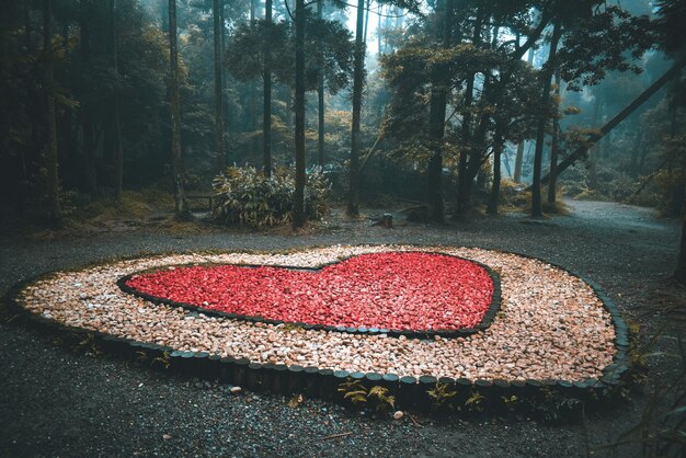 Corazón de Fuego: Análisis Profundo de la Representación Indígena en el Drama