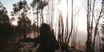 'El Eco del Silencio': Análisis Profundo y Valoración Emocional - Cover Image